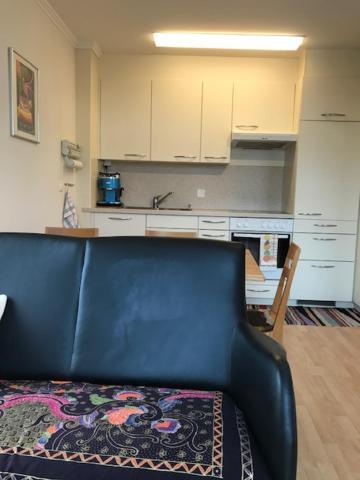 Bad Ragaz Appartement エクステリア 写真